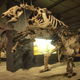 Skeleton of a giant ground sloth, Eremotherium laurillardi